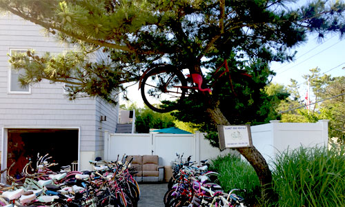 Bike-In-Tree-kismet-Fire-Island
