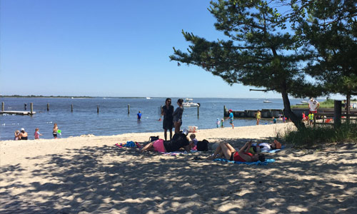 Kids-Playing-at-Bay-Saltaire-Fire-Island