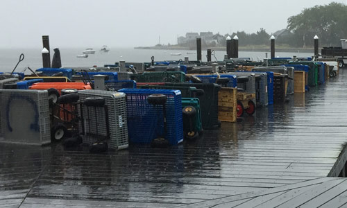 Wagons in Rainy-Weather-Fire-Island