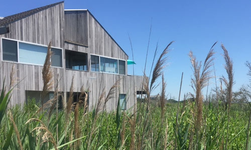 Saltaire-Fire-Island-Home-in-Reeds