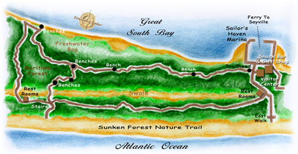 Sunken-Forest-Map