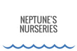 Neptune’s Nurseries