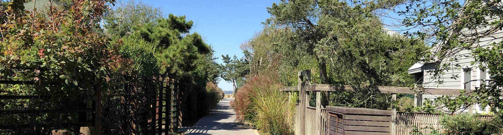 View-of-the-Bay-through-Homes Fire island