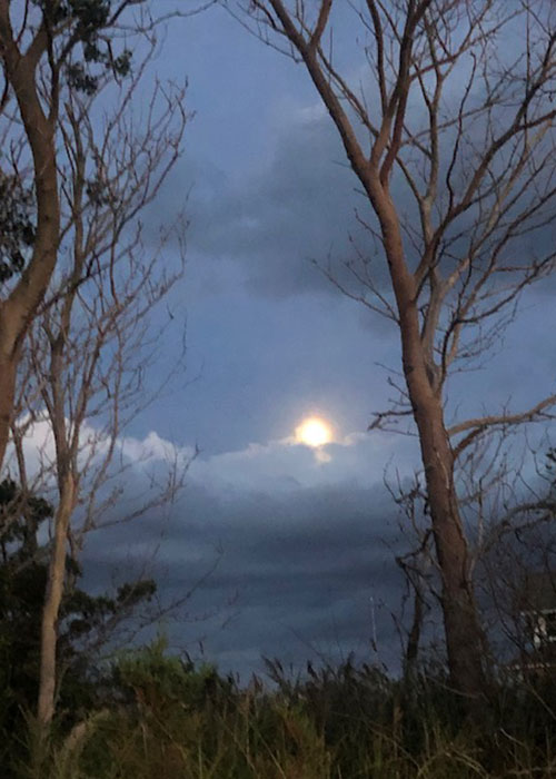 Moon-Peeking-Through-Clouds
