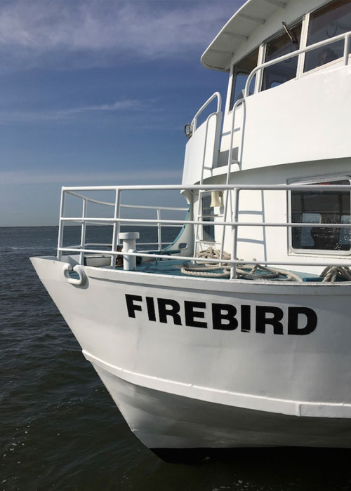 Fire-Island-Ferry-Schedules