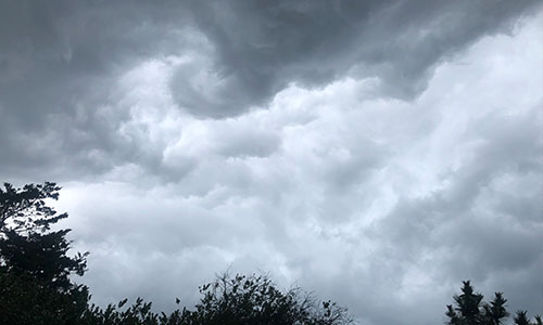 Curly Cloud Over Fire Island Trees