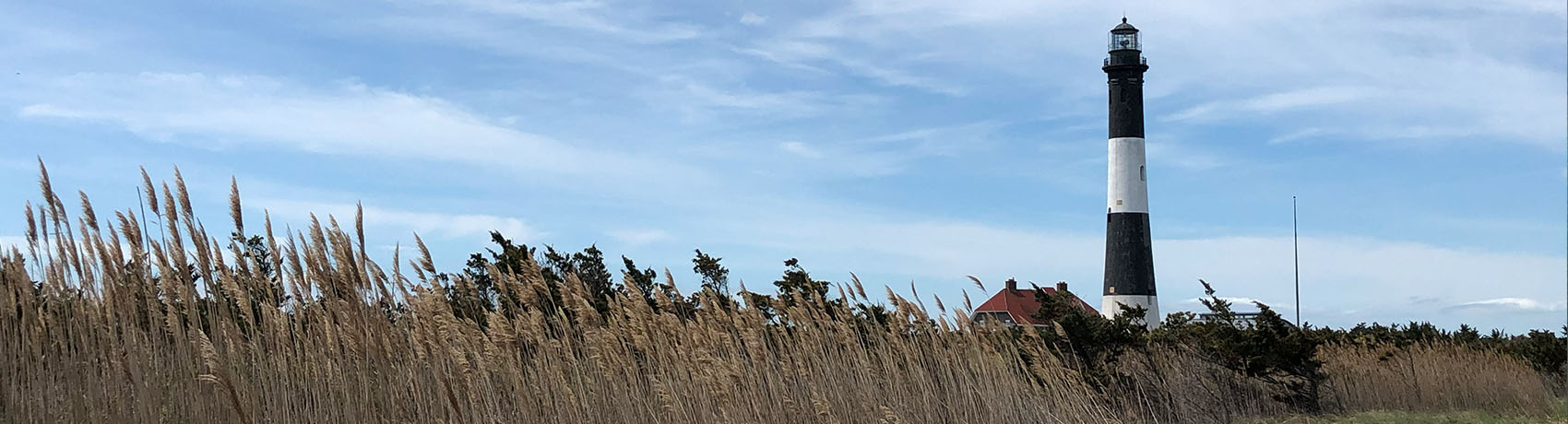 Fire Island Lighthouse in the Reeds