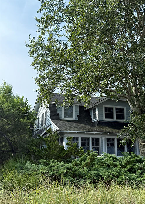 Saltaire House in the trees